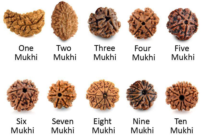 How to Choose the Right Rudraksha for You