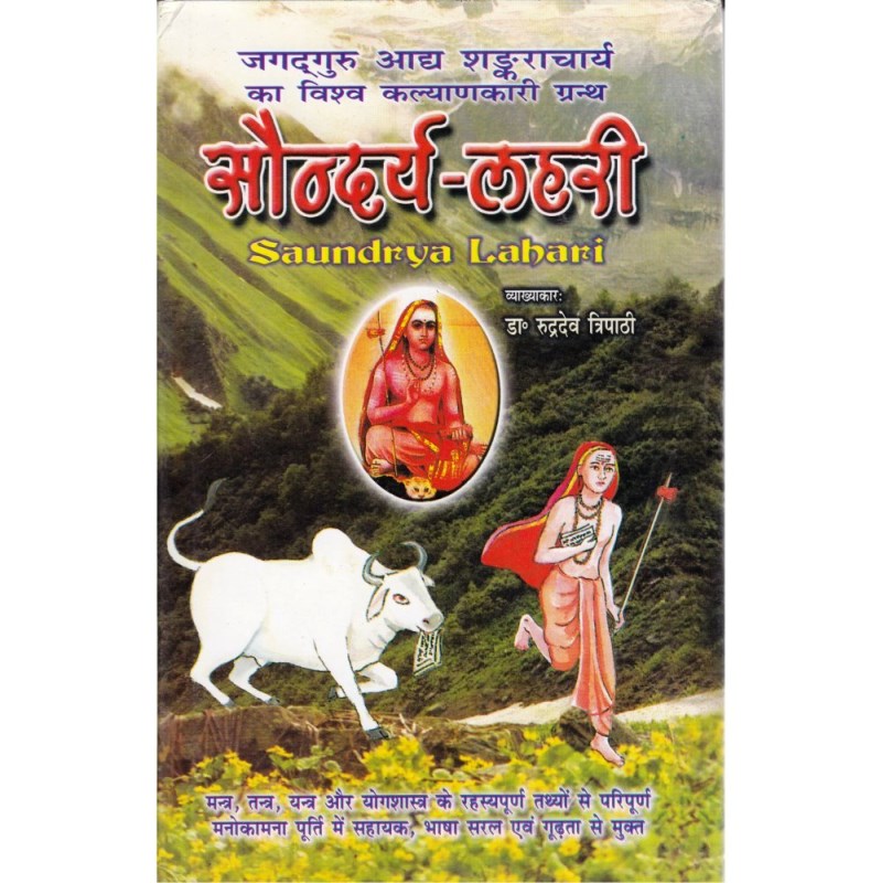 Saundarya Lahari (सौन्दर्य लहरी)